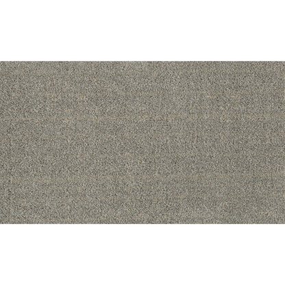 Furry Fun in Misty Granite