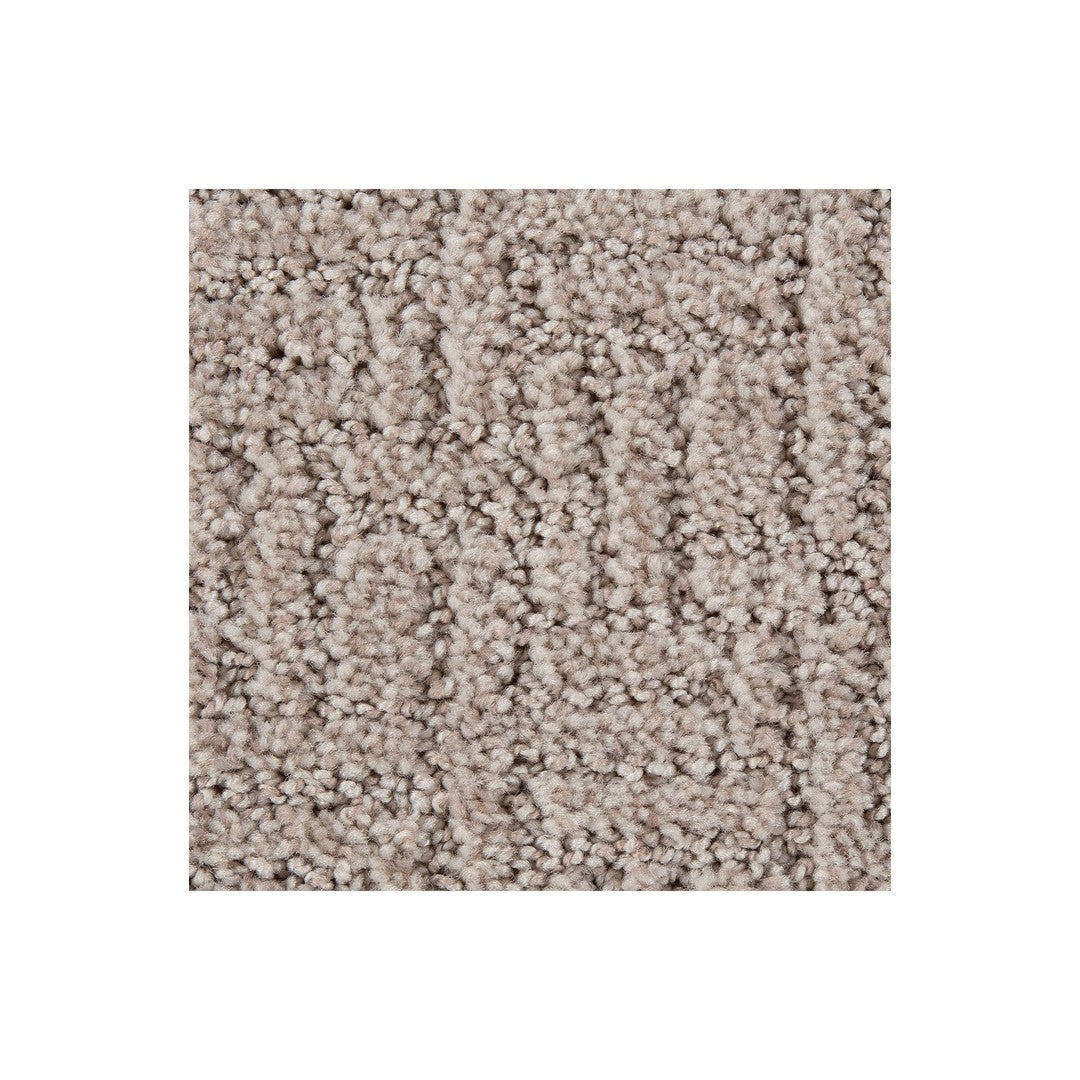 Bountiful Beauty in Alpaca