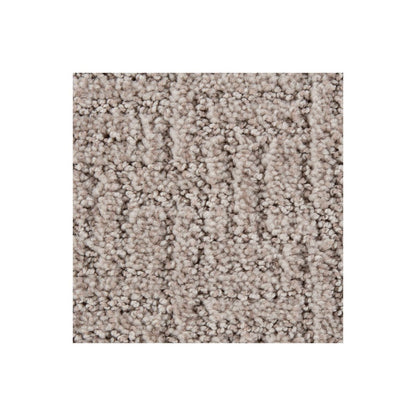 Bountiful Beauty in Alpaca
