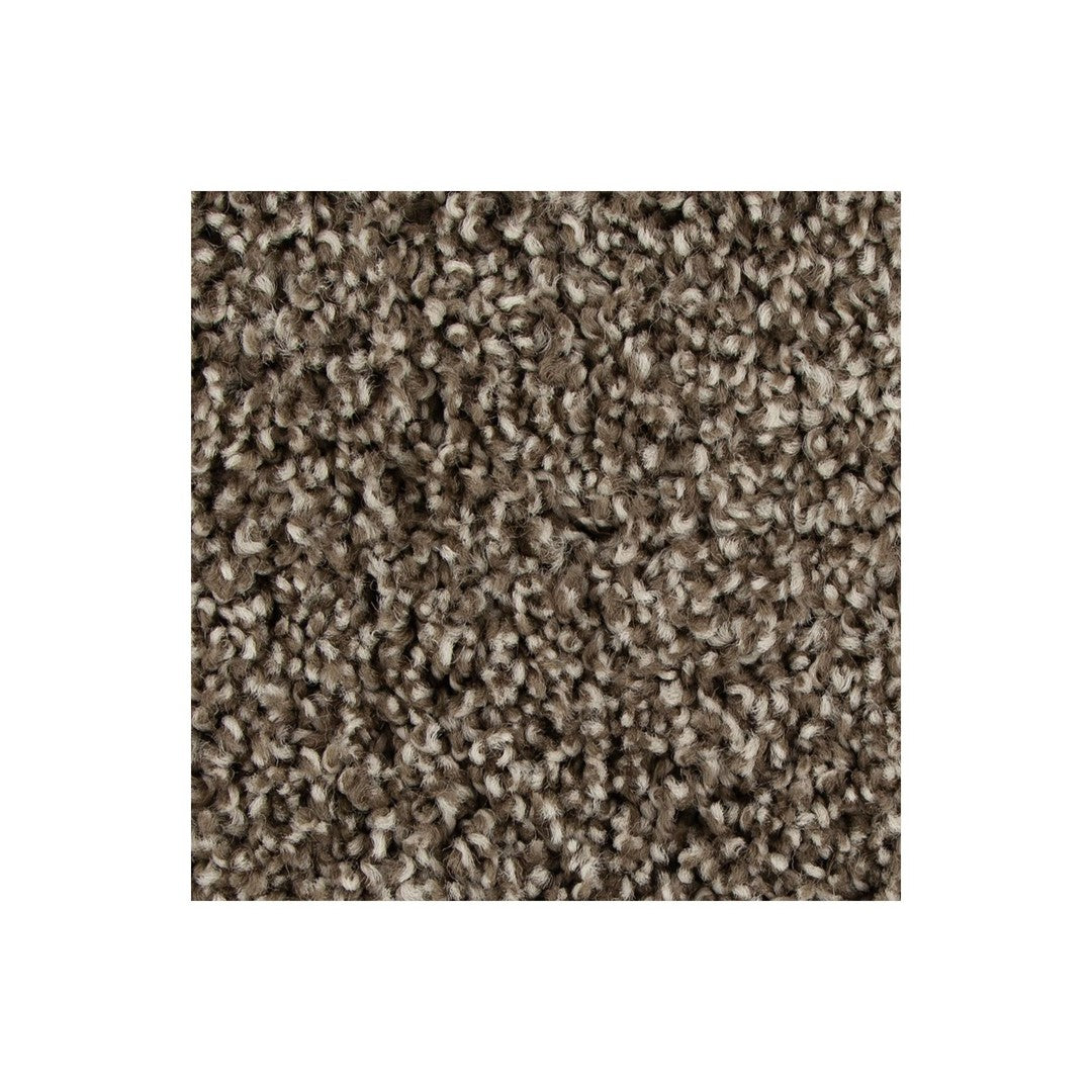 Color Harmony I in Taupe Whisper