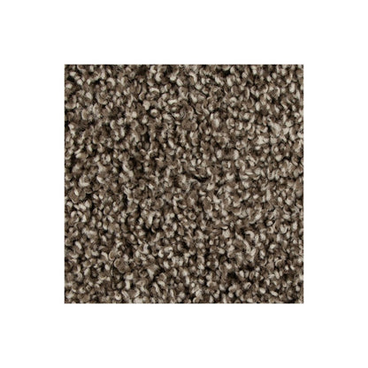 Color Harmony II in Taupe Whisper