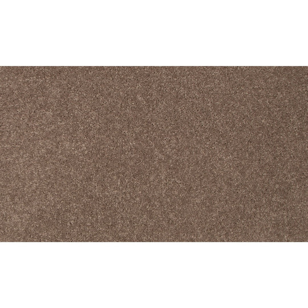 Lifetime Achiever II in Toffee