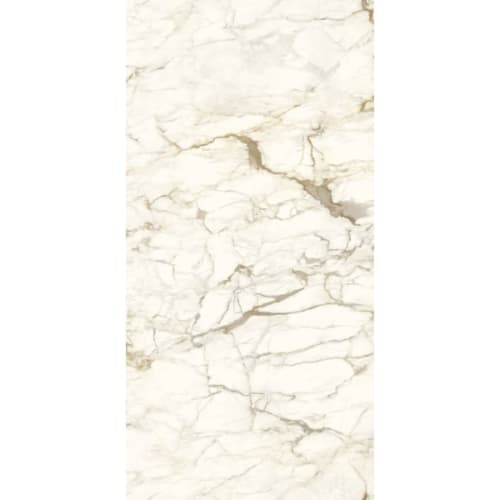 Ultra Marmi in Calacatta Macchiavecchia 60x120 Tile