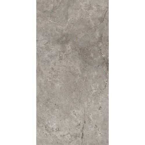 Stone Valley in Cenere 23x47 Tile