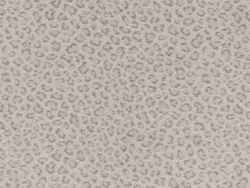 Imagine -  Exotic - Touch in Cloud Shadow