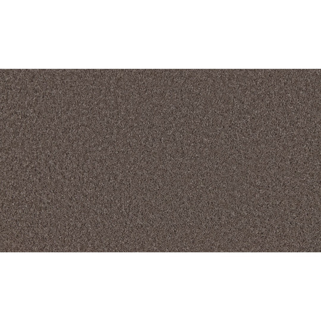 Timeless Idea in Tawny Taupe