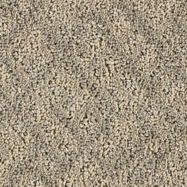 Westchester in Sand Dunes