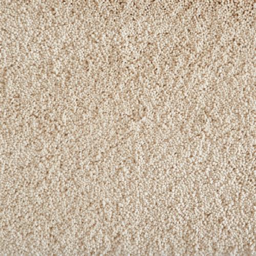 Avantgarde - Shaggy Grove in Ivory