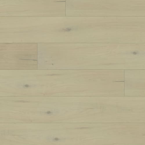 Maestro in Cohen Hardwood