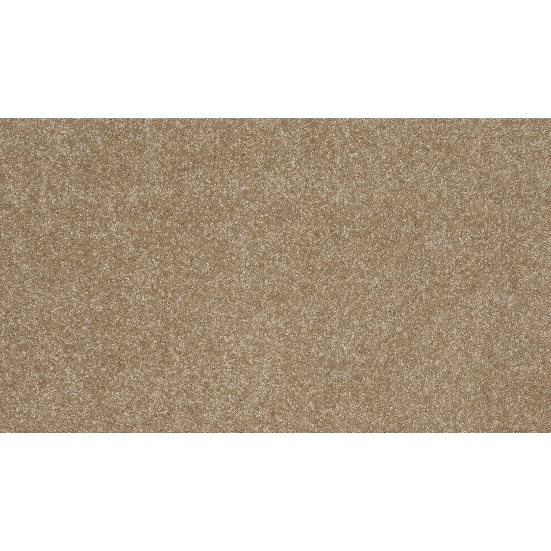 Timeless Saga II in Pale Birch