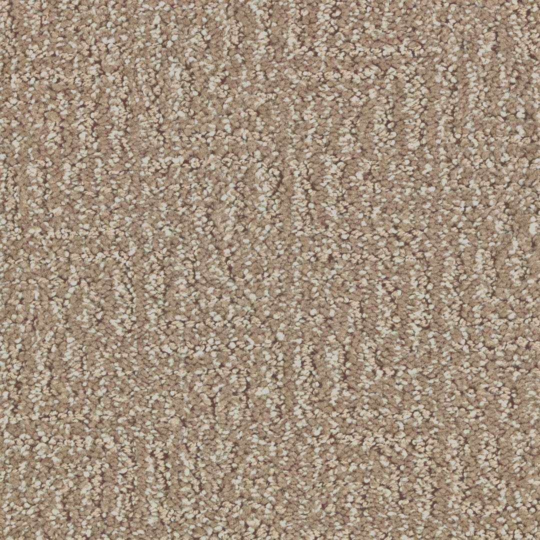 Casual Culture in Urban Taupe