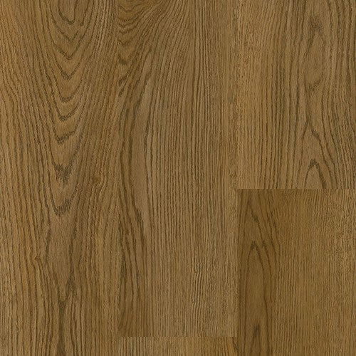 InStudio 20 in Classic Oak Brown
