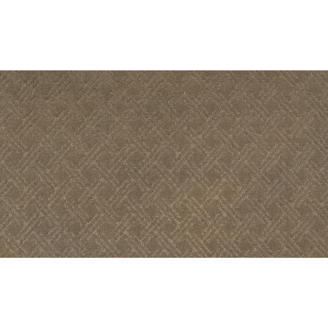 Luxurious Escape in Filtered Smoke