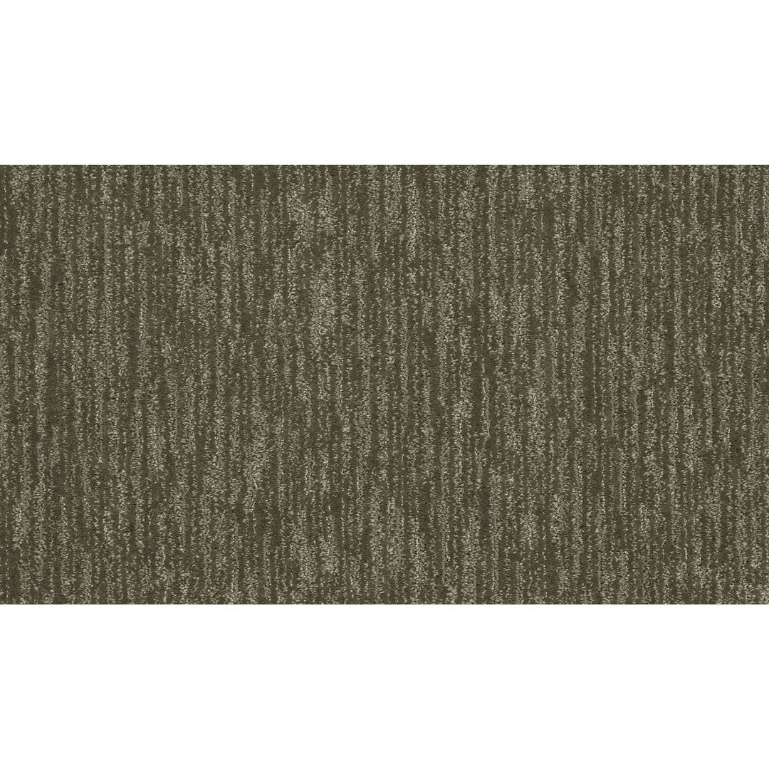 Enchanting Regard in Dried Peat