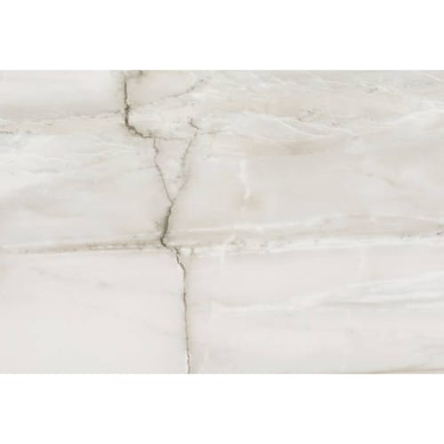 Fossile in Fossile 12x24 Tile