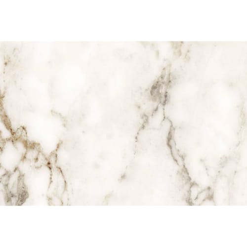 Barnaby in Super White 12x24 Tile