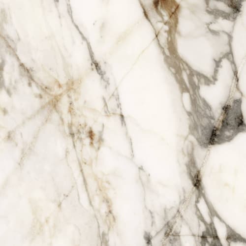 Barnaby in Super White 24x24 Tile