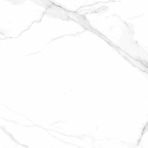 Naos in Polished 24x24 Tile