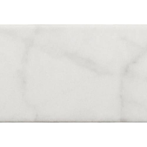 Carrara in Carrara 3x6 Matte Tile