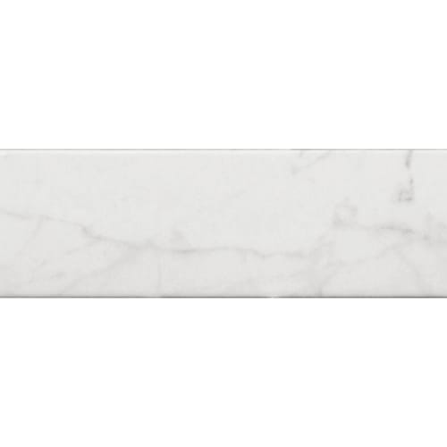 Carrara in Carrara 3x12 Polished Tile