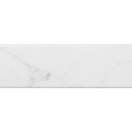 Carrara in Carrara 3x12 Matte Tile