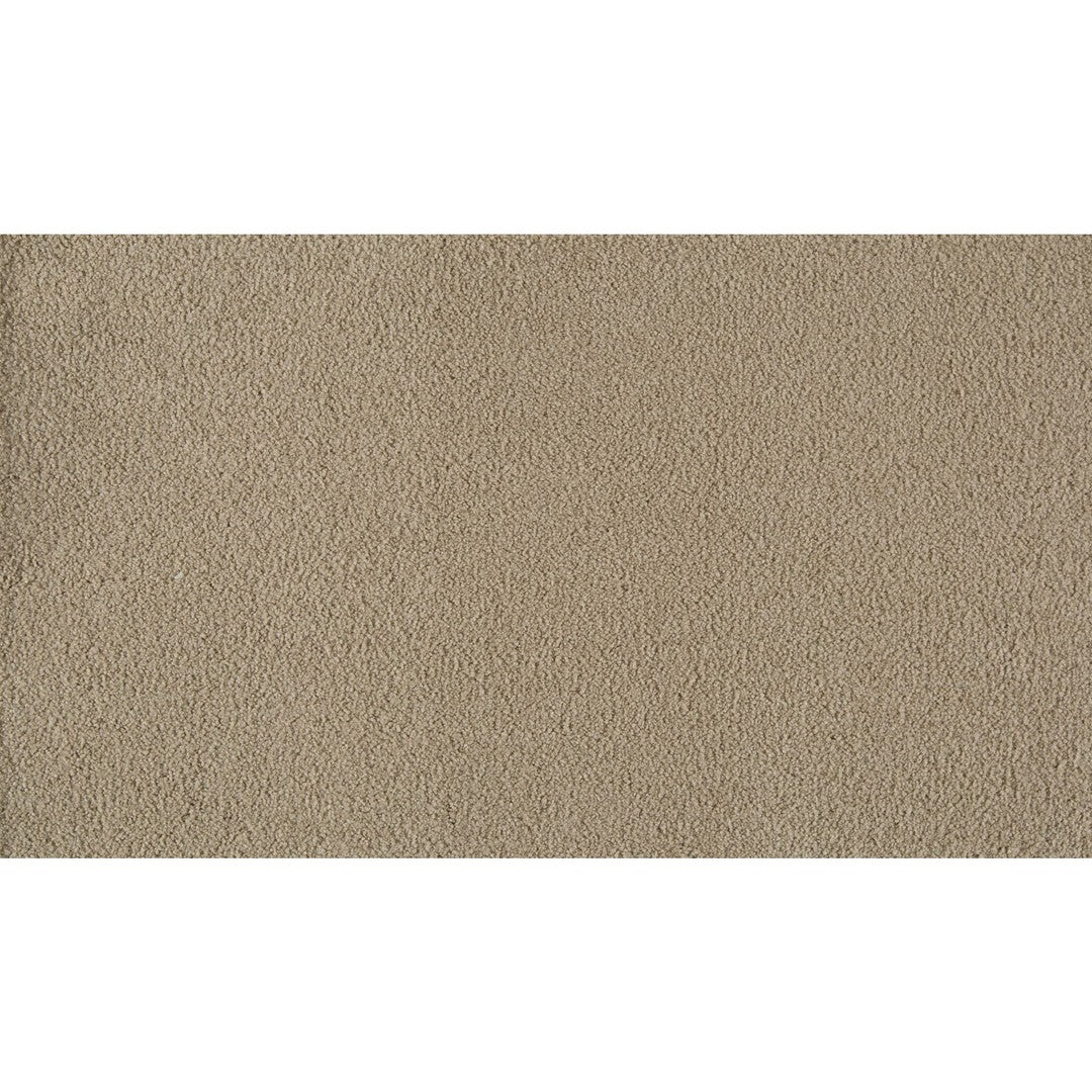 Soft Awakening in Big City Beige