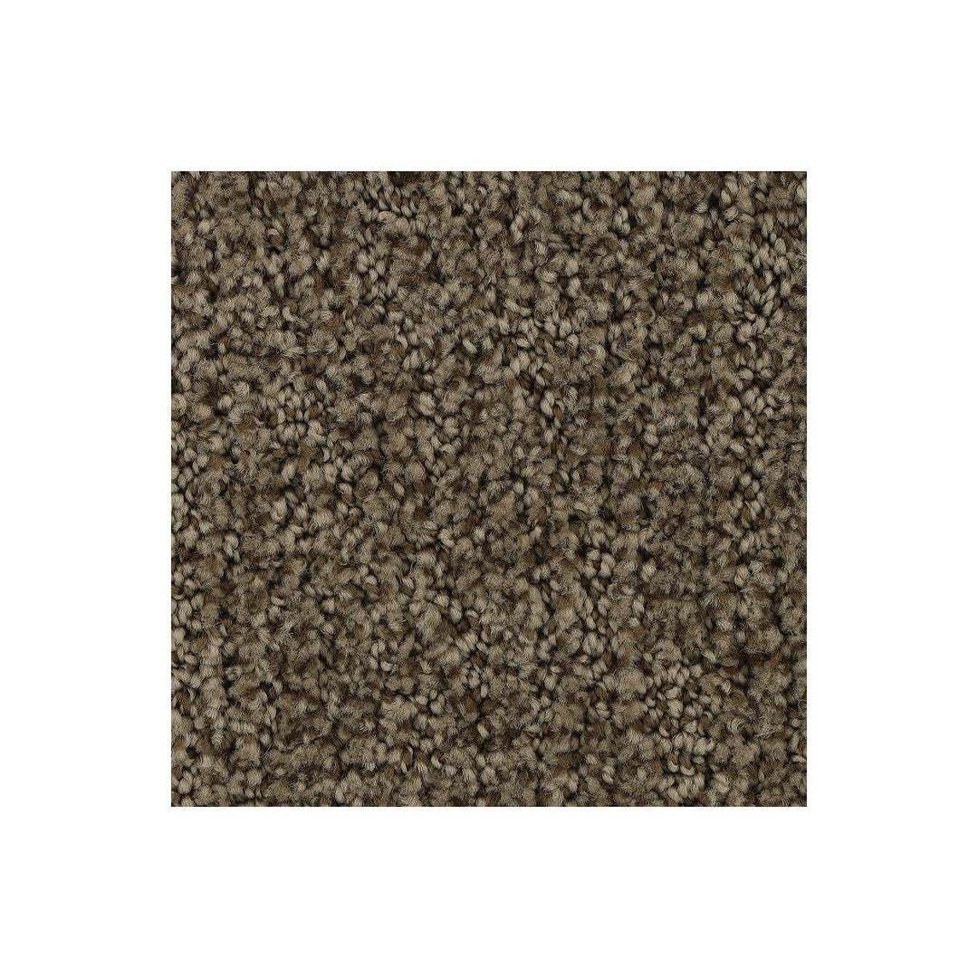 Popular Style in Malted