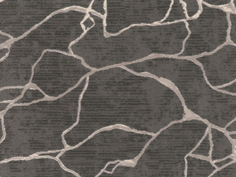 Imagine -  Leading Edge in Charcoal