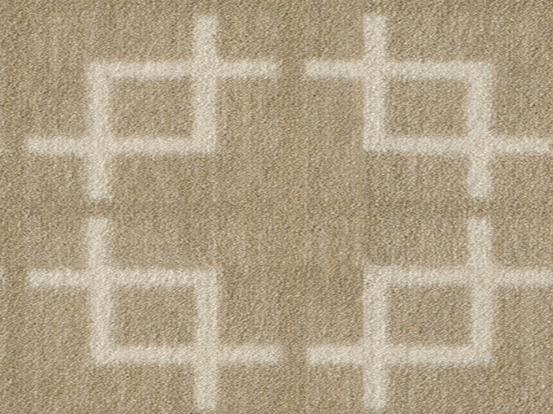 Imagine -  Network in Warm Silk
