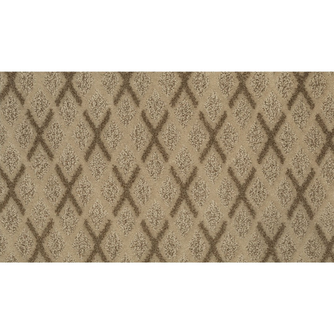 Dazzling Variety in Camel