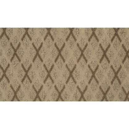 Dazzling Variety in Camel