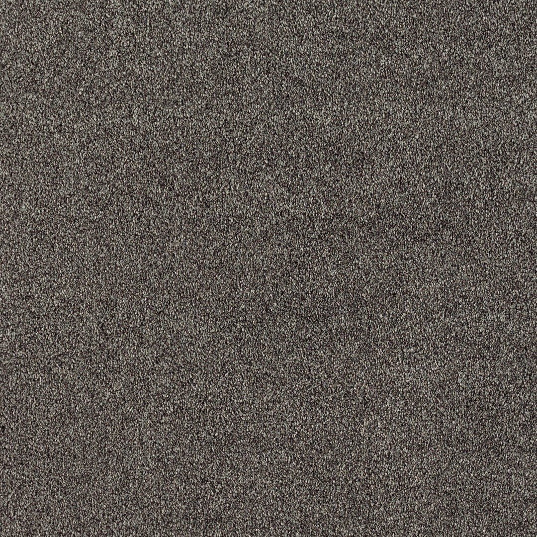 Lavish Statement in Magnetic