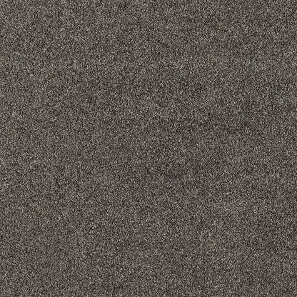 Lavish Statement in Magnetic