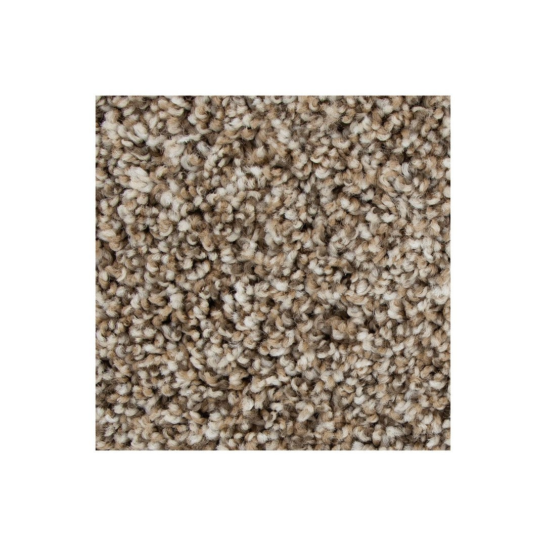 Color Harmony I in Rum Cream