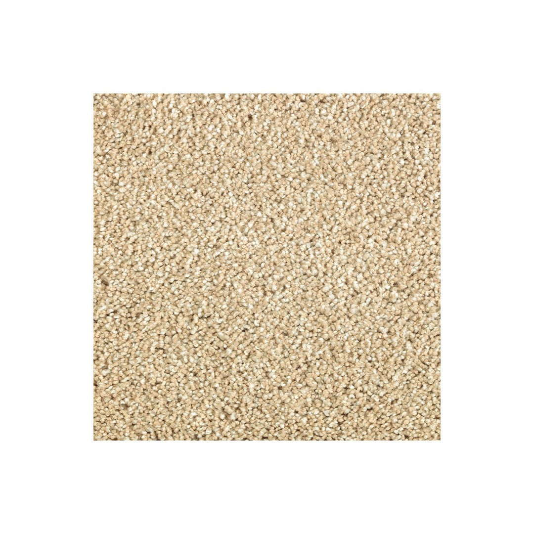 Native Allure I in Beach Pebble
