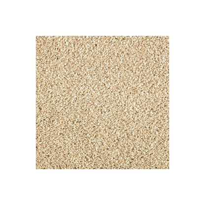 Native Allure I in Beach Pebble