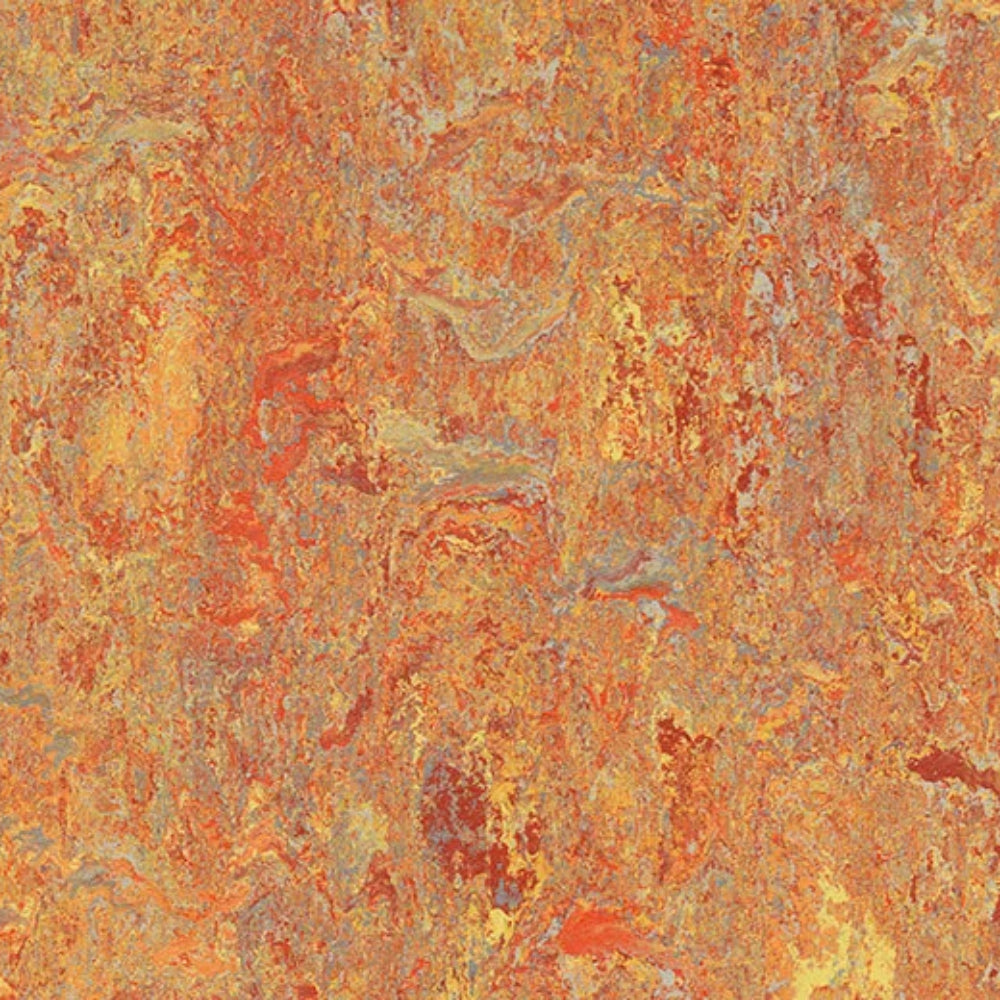 Marmoleum - Cinch Loc Seal in Asian Tiger