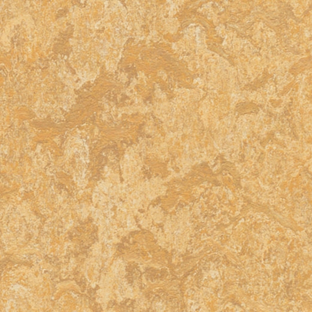 Marmoleum - Cinch Loc Seal in Van Gogh