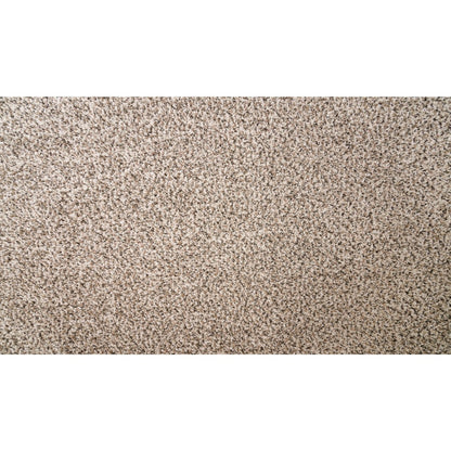 Rustic Edge I in Desert Scene