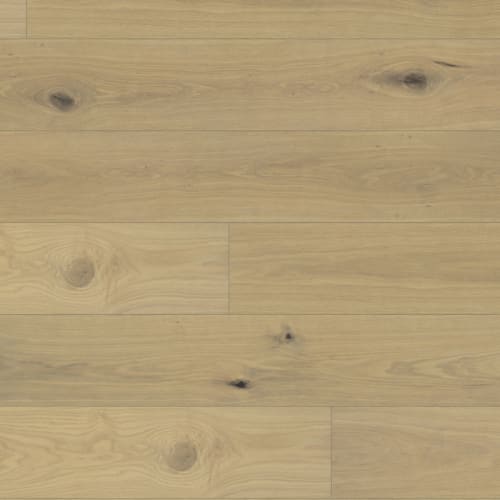 Maestro in Hendrix Hardwood