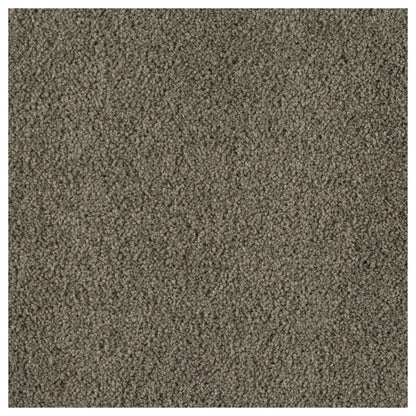 Soft Inspiration in Skyline Steel