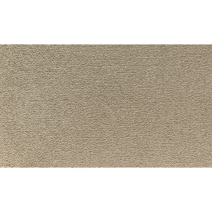 Radiant Surface in Halo