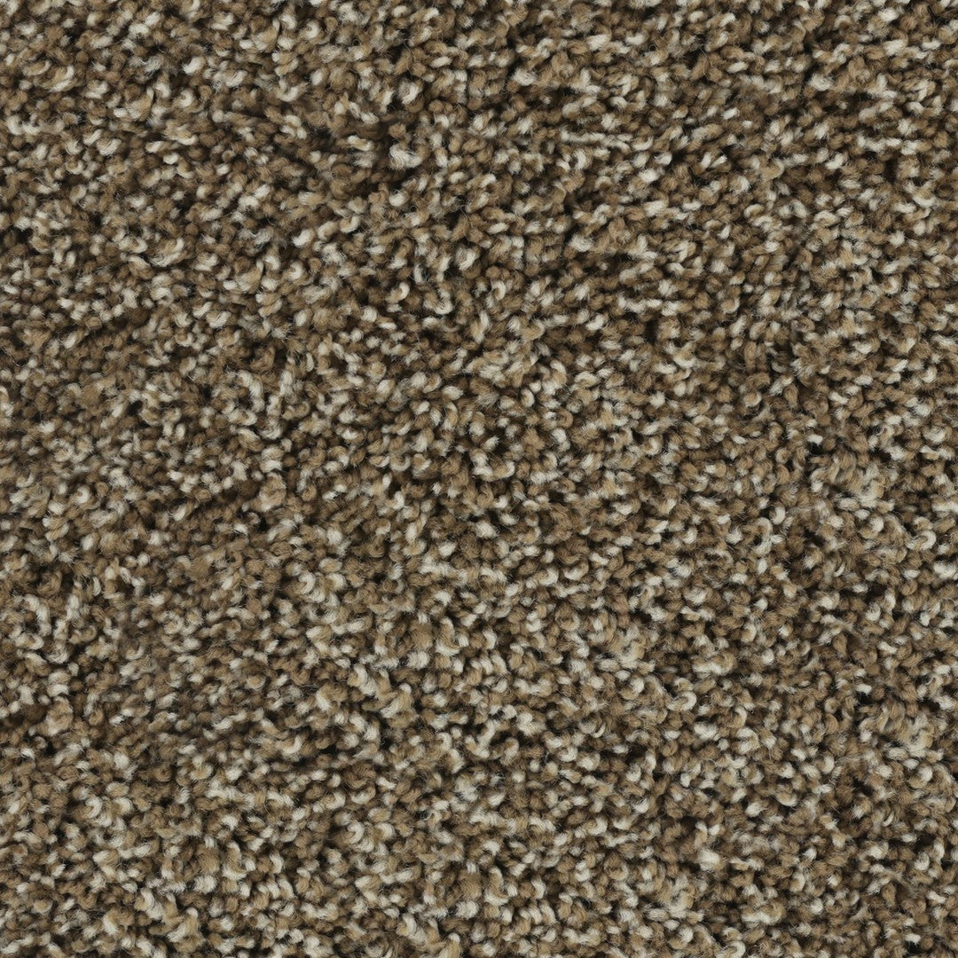 Posh Beauty in Mesquite Chip