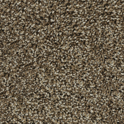 Posh Beauty in Mesquite Chip