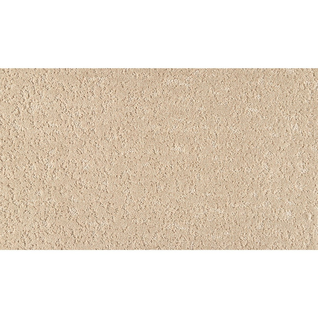 Mineral Earth in White Oak