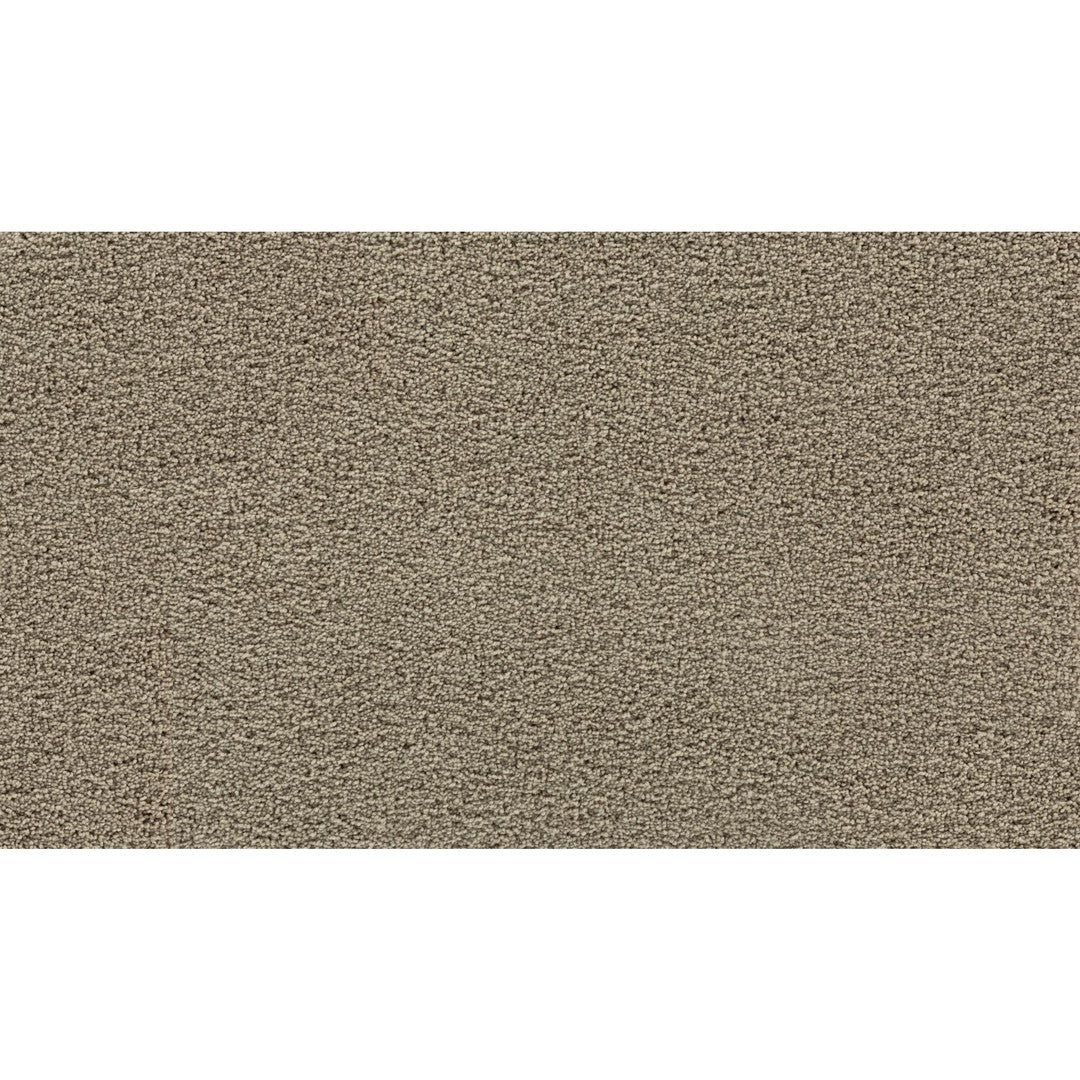 Thoughtful Charm in Pebble Trail