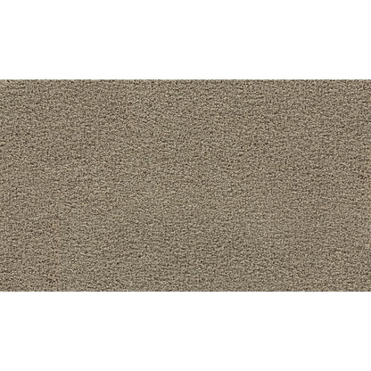 Thoughtful Charm in Pebble Trail
