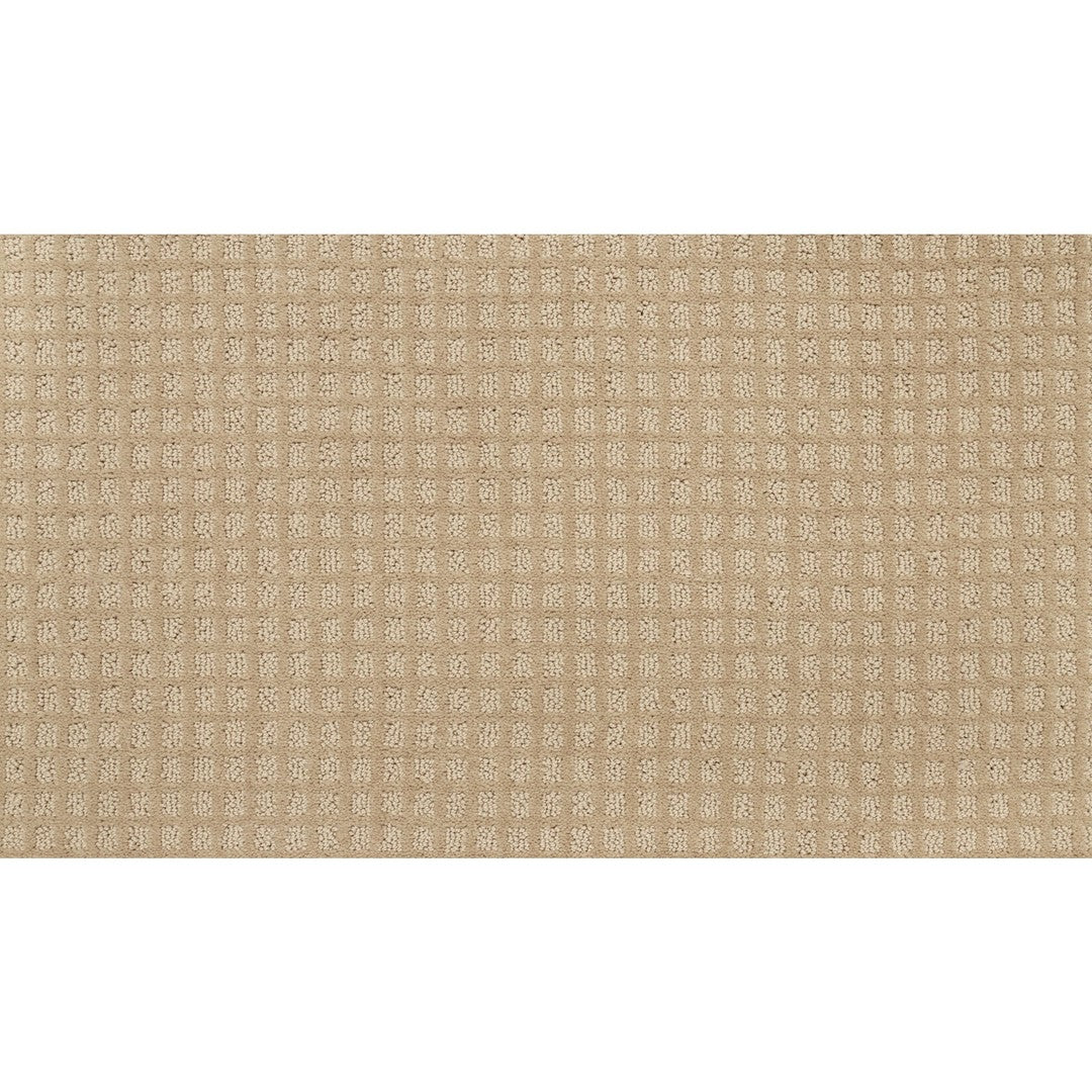 Magnetic Form II in Desert Sand