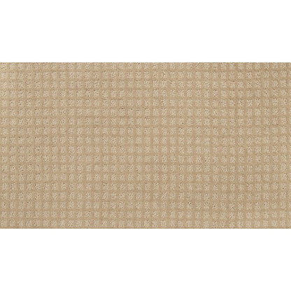 Magnetic Form II in Desert Sand