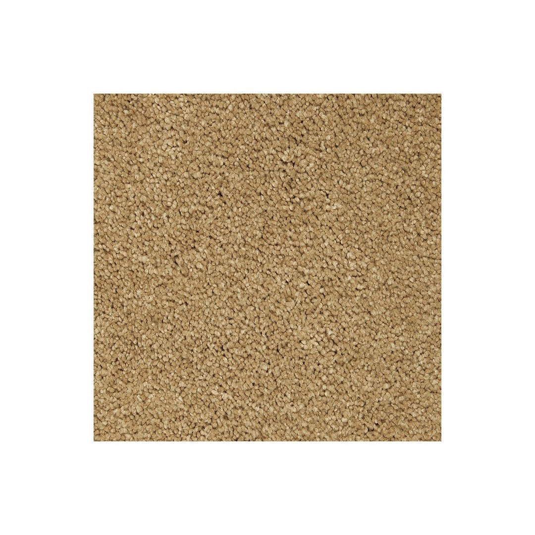 Splendid Freedom in Stonington Beige